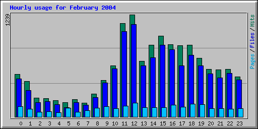 Hourly usage for February 2004